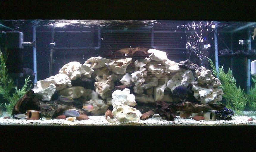 Rated #55: 150 Gallons Freshwater Fish Tank - Same tank, but replace 110 lbs of lava rock withe 110 lbs of Texas holey rock. And put 2 wavemaker for extra current