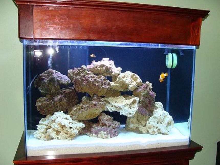 Rated #16: 48 Gallons Saltwater Fish Tank - 60 gal