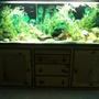 fish tank picture - 1