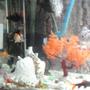 fish tank picture - gold community with non aggressive sharks,pelco,snail&turtle