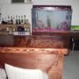 fish tank picture - setting for the 180, basement bar :-D