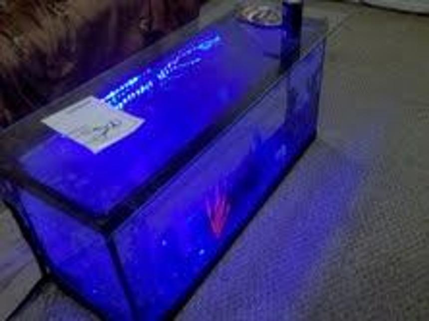 Rated #382: 30 Gallons Freshwater Fish Tank - this is a project which everyone in the fish world says it wouldnt work, turned out to be a very useful table and pretty too