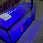 30 gallons freshwater fish tank (mostly fish and non-living decorations) - this is a project which everyone in the fish world says it wouldnt work, turned out to be a very useful table and pretty too