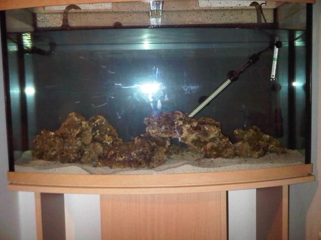 63 gallons saltwater fish tank (mostly fish, little/no live coral) - My new 63 gallon tank with premium fiji LR