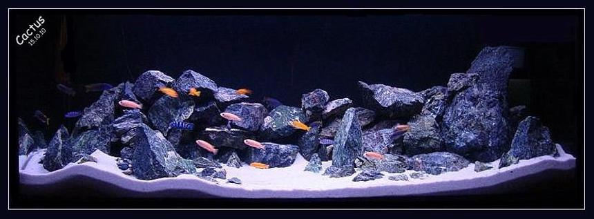 Rated #5: 120 Gallons Freshwater Fish Tank - Rocky Hills