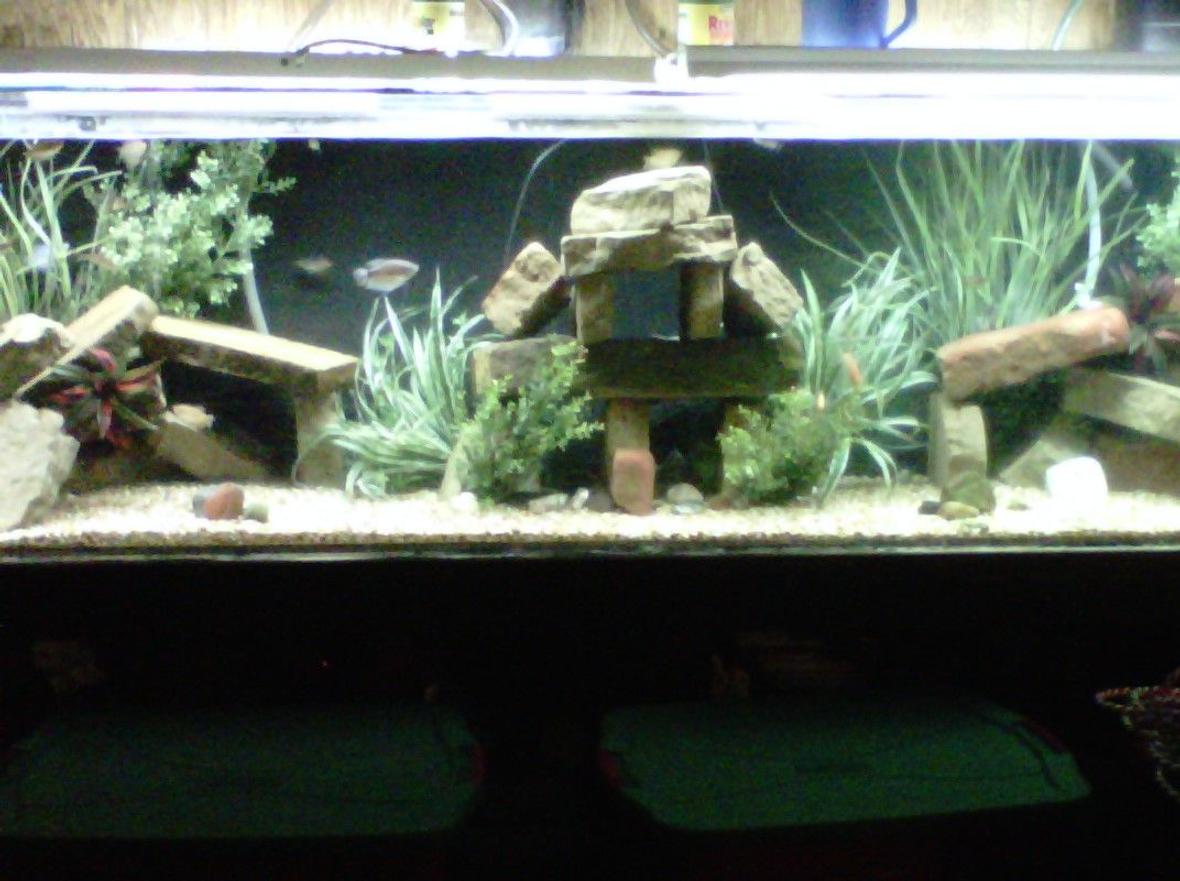 350 gallons freshwater fish tank (mostly fish and non-living decorations) - 350 gallon acrylic