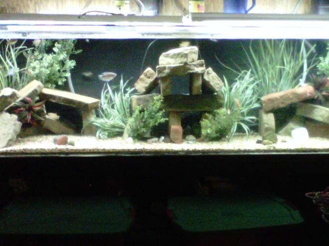 350 gallons freshwater fish tank (mostly fish and non-living decorations) - 350 gallon acrylic