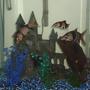 fish tank picture - CLoWn LOACHES