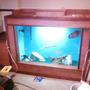 275 gallons freshwater fish tank (mostly fish and non-living decorations) - almost finished