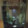 fish tank picture - side pic