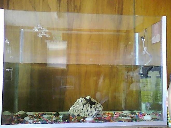 150 gallons freshwater fish tank (mostly fish and non-living decorations) - A black fantail fish with some gravel, 1 coral and a bio chem filter.