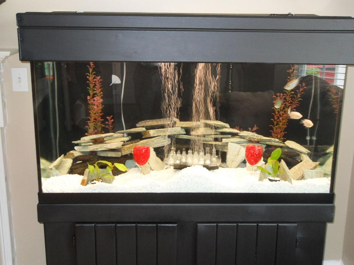 90 gallons freshwater fish tank (mostly fish and non-living decorations) - 90 gallon