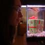 fish tank picture - The King & I
