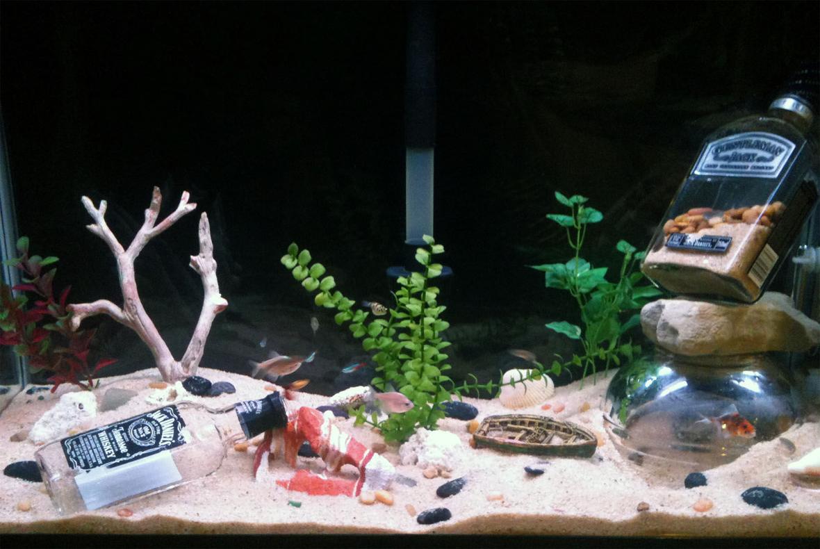 29 gallons freshwater fish tank (mostly fish and non-living decorations) - PFS substrate, a few fake plants, assorted river rock and pebbles sprinkled throughout, a few large rocks, a couple of (empty) liquor bottles and a home made underwater crab dome.