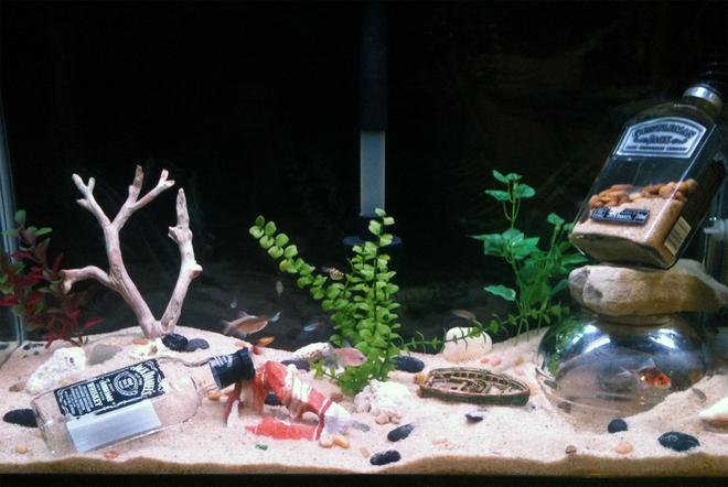 29 gallons freshwater fish tank (mostly fish and non-living decorations) - PFS substrate, a few fake plants, assorted river rock and pebbles sprinkled throughout, a few large rocks, a couple of (empty) liquor bottles and a home made underwater crab dome.