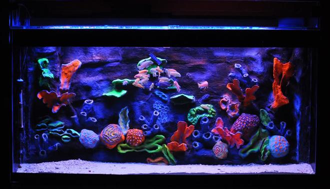 freshwater fish tank (mostly fish and non-living decorations) - A.I Salt water Reef
