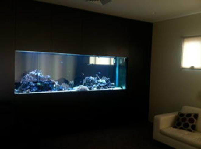 800 gallons reef tank (mostly live coral and fish) - About 1/3 stocked currently 160kg live rock with various corals, anemones, shrimp, prawns, crabs, starfish and fish