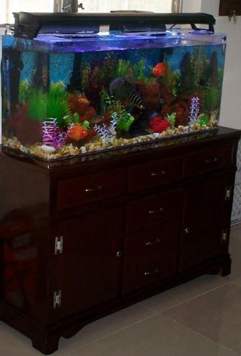 Rated #179: 55 Gallons Freshwater Fish Tank - 55G Acrylic Cichlid Tank