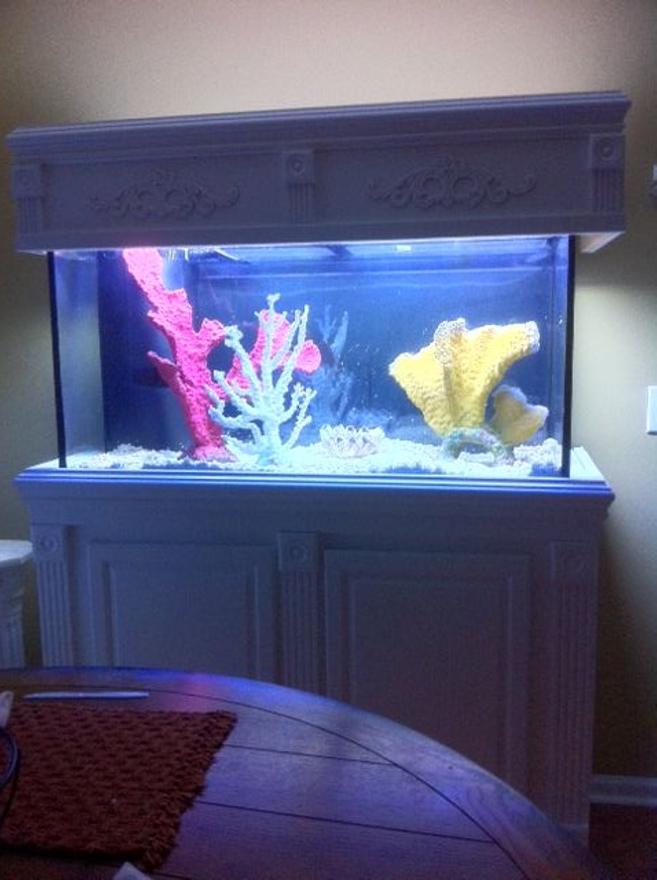 90 gallons saltwater fish tank (mostly fish, little/no live coral) - 90 gallon custom built stand and canopy