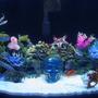 50 gallons saltwater fish tank (mostly fish, little/no live coral) - 50 gallon bowfront