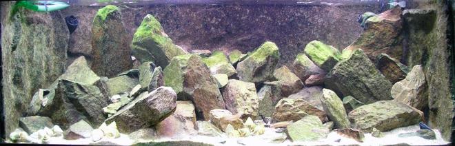90 gallons freshwater fish tank (mostly fish and non-living decorations) - 135x50x50 cm Tanganyika Tank

Fish:
5x Telmatochromis vitattus
1x Tanganicodus irsacae Nyanza Lac
6x Synodontis lucipinnis 

Technicalities:
1x Eheim 2078
1x Eheim 2229
1x powerhead 2600 l/h
1x powerhead 2000 l/h

3x 36 Watt TL Sylvania Aquastar
2x 20 Watt Philips 865 CFL