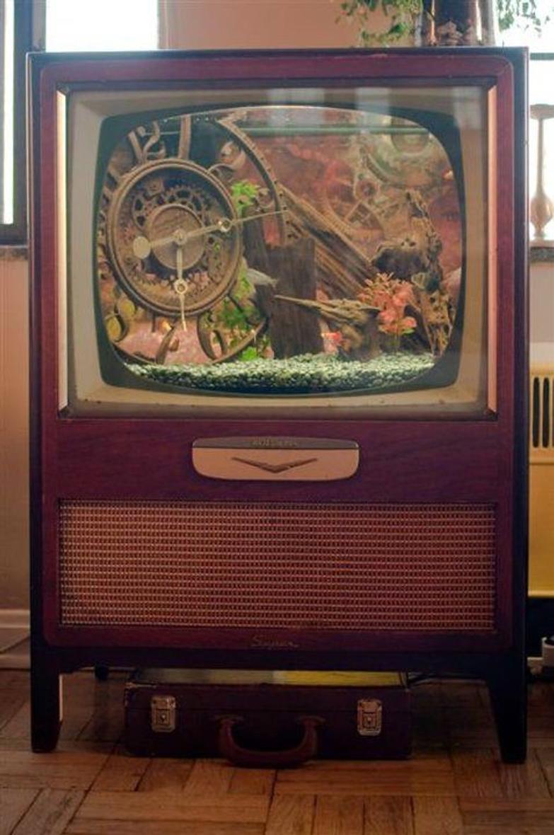 Rated #53: 35 Gallons Freshwater Fish Tank - An old 1940's style television turned sweet fish aquarium.  

Confession; we watch a lot of TV in this household