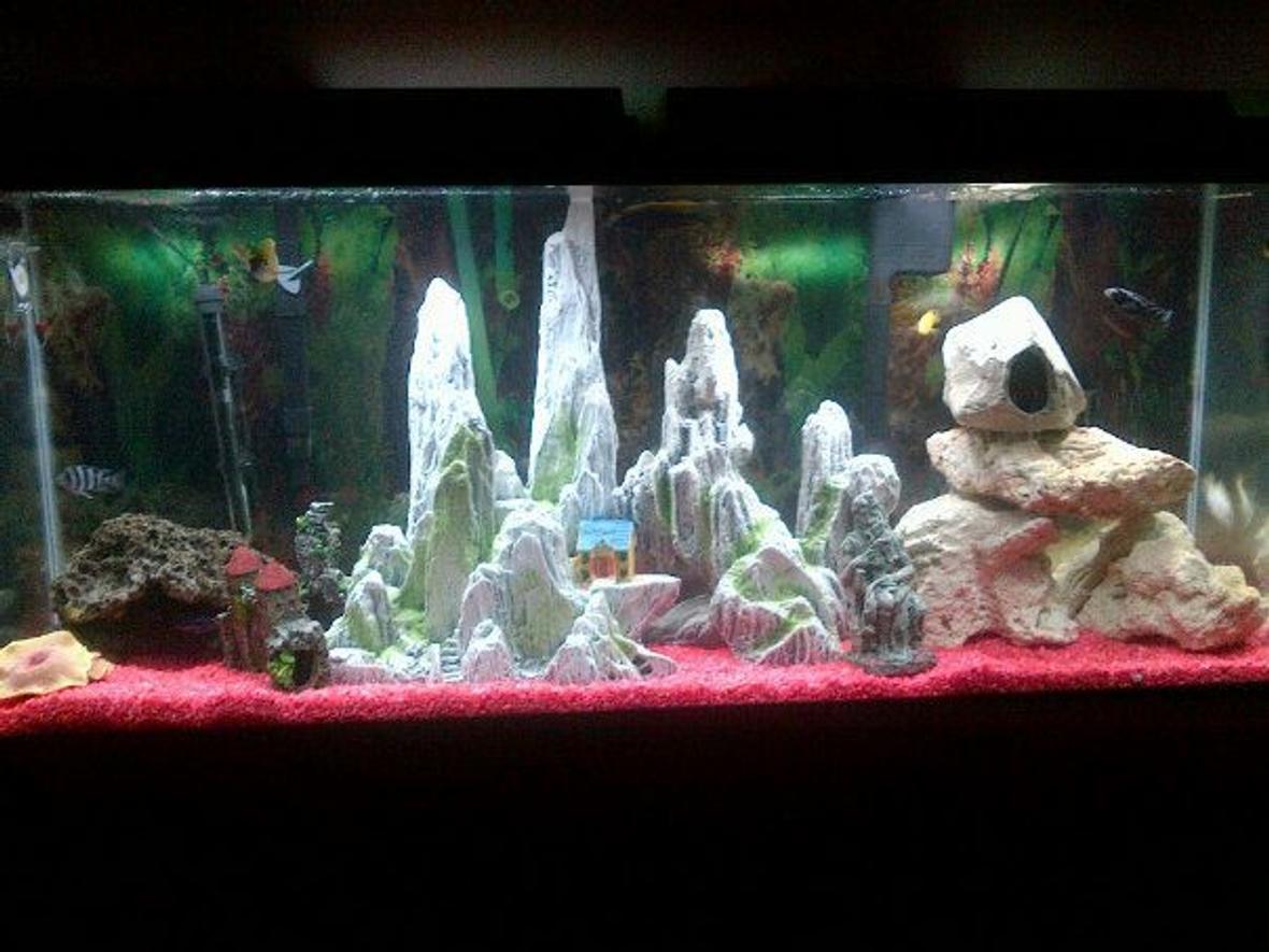 55 gallons freshwater fish tank (mostly fish and non-living decorations) - Latest setup for the tank. Added more levels and rocks for the fish to enjoy. (sorry for the bad quality photo)