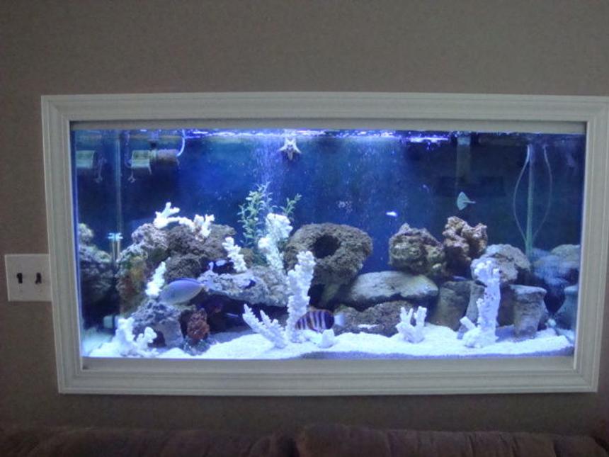 Rated #2: 90 Gallons Saltwater Fish Tank - 90 gallon