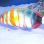 saltwater fish - choerodon fasciatus - harlequin tusk stocking in 180 gallons tank - Harlequin Wrasse