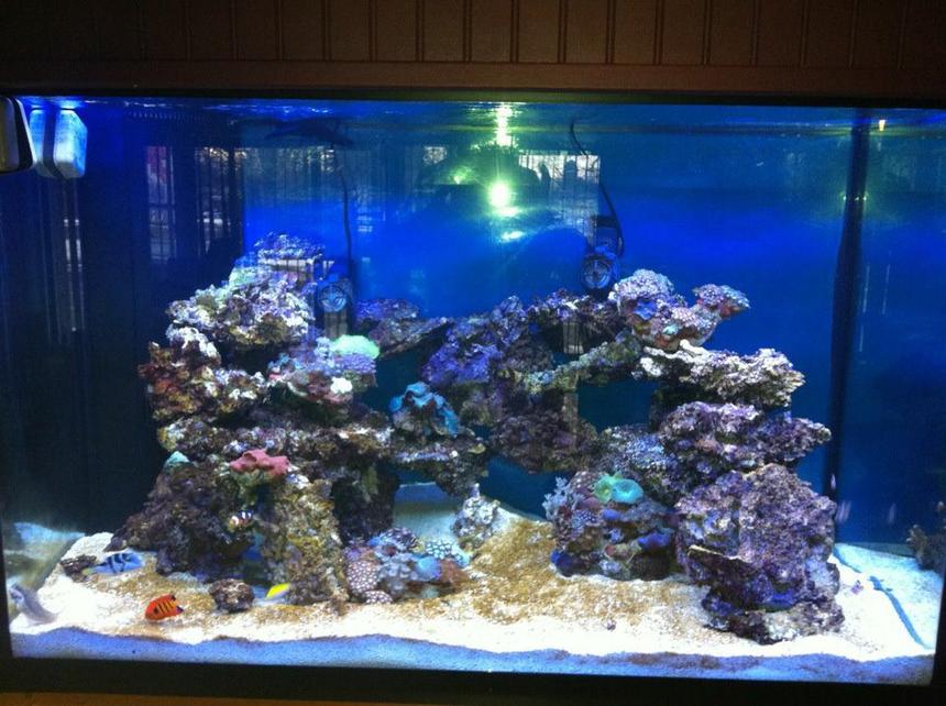 Rated #3: 10000 Gallons Saltwater Fish Tank - tank