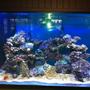 10000 gallons saltwater fish tank (mostly fish, little/no live coral) - tank