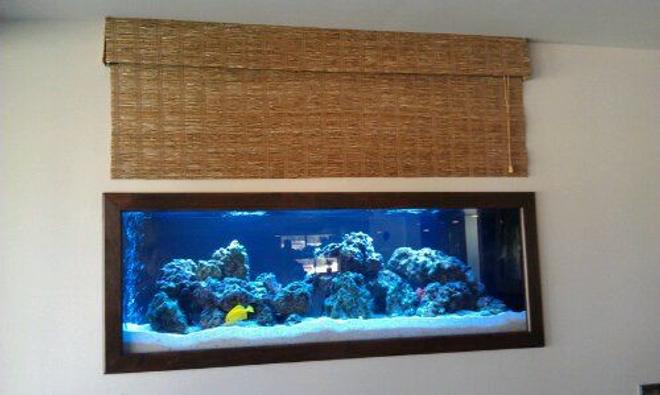 140 gallons reef tank (mostly live coral and fish) - 125 Gallon Saltwater Tank by Sunset Aquatics