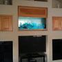 140 gallons saltwater fish tank (mostly fish, little/no live coral) - 150 Gallon Custom Aquarium by Sunset Aquatics