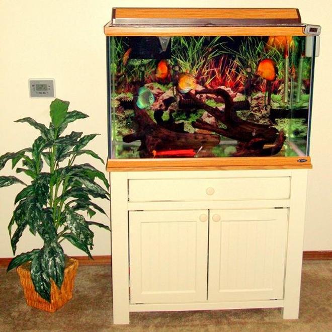 70 gallons freshwater fish tank (mostly fish and non-living decorations) - 70g