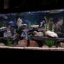 125 gallons freshwater fish tank (mostly fish and non-living decorations) - 125 gallon tank