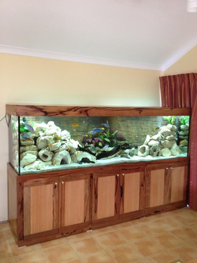 340 gallons freshwater fish tank (mostly fish and non-living decorations) - 340g african cichlid tank