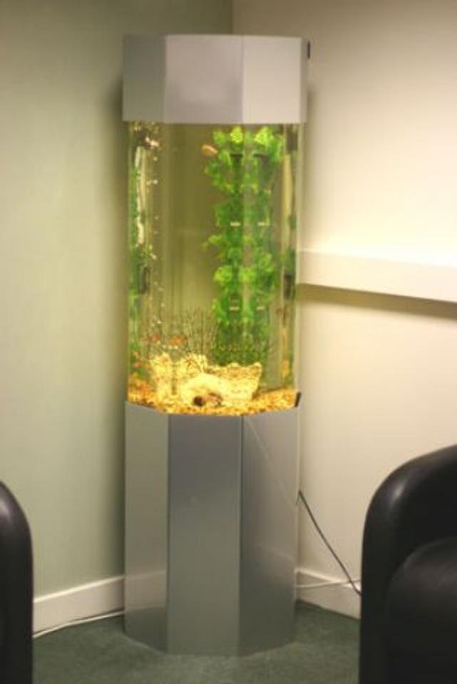 20 gallons freshwater fish tank (mostly fish and non-living decorations) - 20 gallon column. plastic plants and real river rock in back corner.