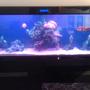 fish tank picture - Front view Maz2000