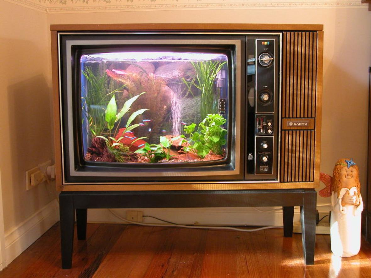 10 gallons freshwater fish tank (mostly fish and non-living decorations) - Old TV converted into Aquarium