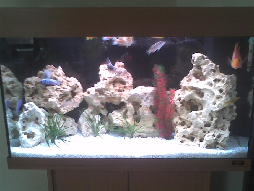 Rated #114: 20 Gallons Freshwater Fish Tank - This is my malawi set up