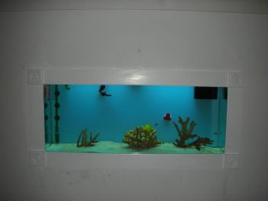 Rated #53: 55 Gallons Saltwater Fish Tank - same tank during the day