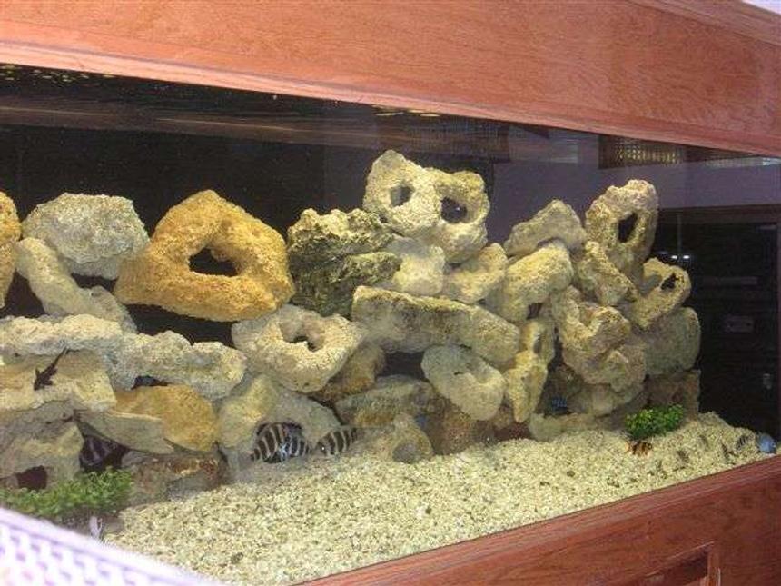 Rated #191: 180 Gallons Freshwater Fish Tank - My freshwater tank