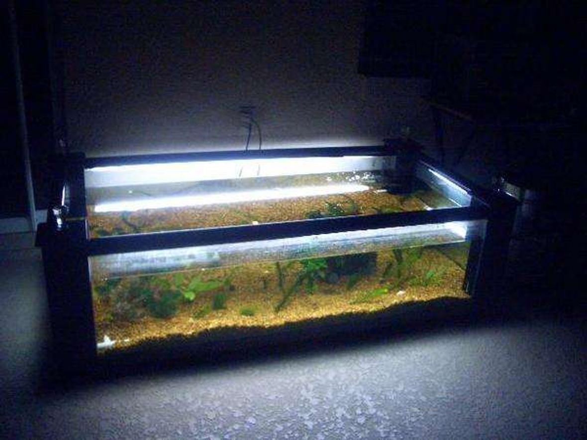 120 gallons planted tank (mostly live plants and fish) - in this picture u see my fishtanke without its tabletop on.