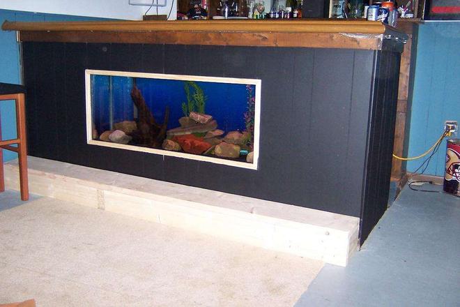 55 gallons freshwater fish tank (mostly fish and non-living decorations) - 55g in my bar.
