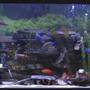90 gallons freshwater fish tank (mostly fish and non-living decorations) - not the best pic i'm working on it