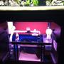 fish tank picture - Sump