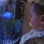 40 gallons freshwater fish tank (mostly fish and non-living decorations) - My son john staring down my blue. :)