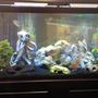 120 gallons freshwater fish tank (mostly fish and non-living decorations) - Original setup