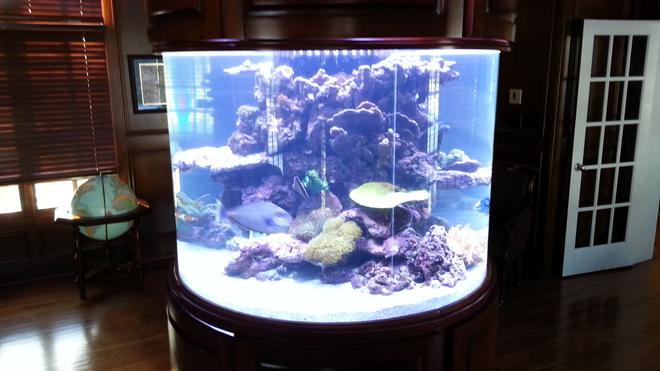 300 gallons reef tank (mostly live coral and fish) - 300 gallon reef