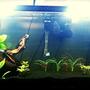 100 gallons planted tank (mostly live plants and fish) - 30 gallon. Angelfish,Serpae tetras, electric blue acaras, Pearl Gouramis and aBushy Nose Pleco.